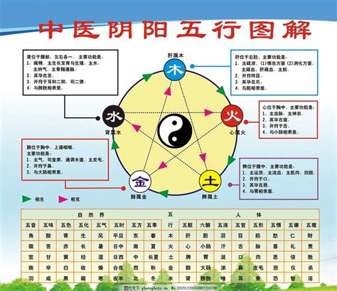 五行五官|五行（中医术语）